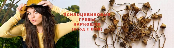 герыч Алзамай