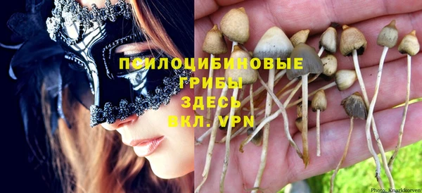 герыч Алзамай